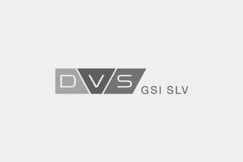 GSI SLV